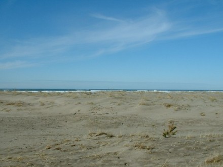 beach4.jpg